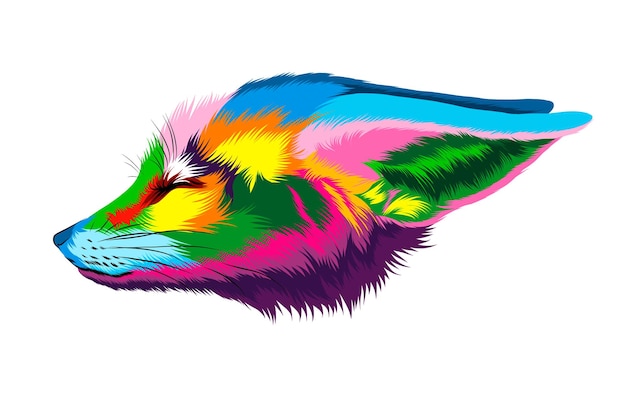 Abstract fennec fox head portrait sand fox from multicolored paints Colored drawing