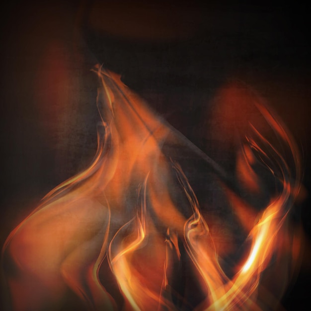 Vector abstract fire flames on a black background colorful illustration