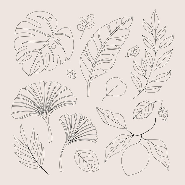 Abstract floral leaf line art design for coloring book