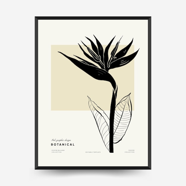 Abstract floral posters template. Modern Botanical trendy black style. Vintage flowers. Ink wall art