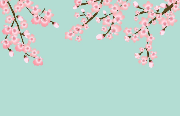 Abstract Floral Sakura Flower Japanese Natural Background