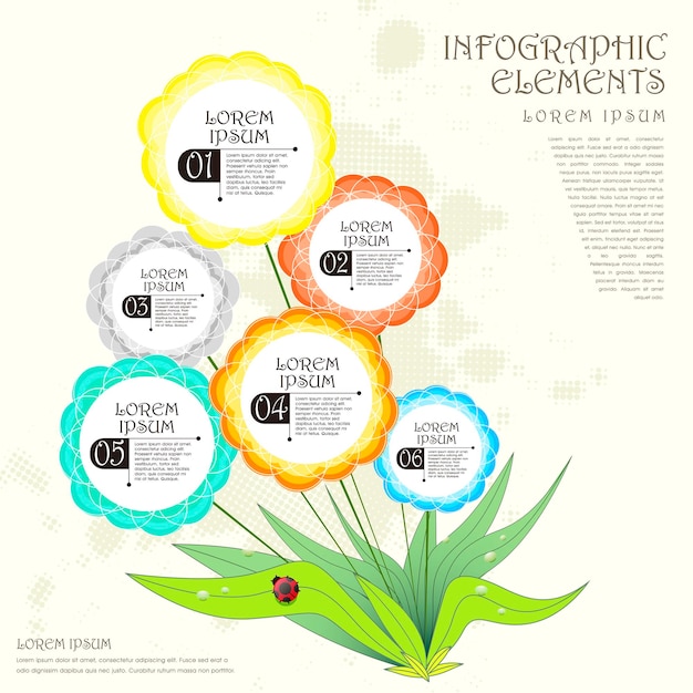 abstract flower option infographics