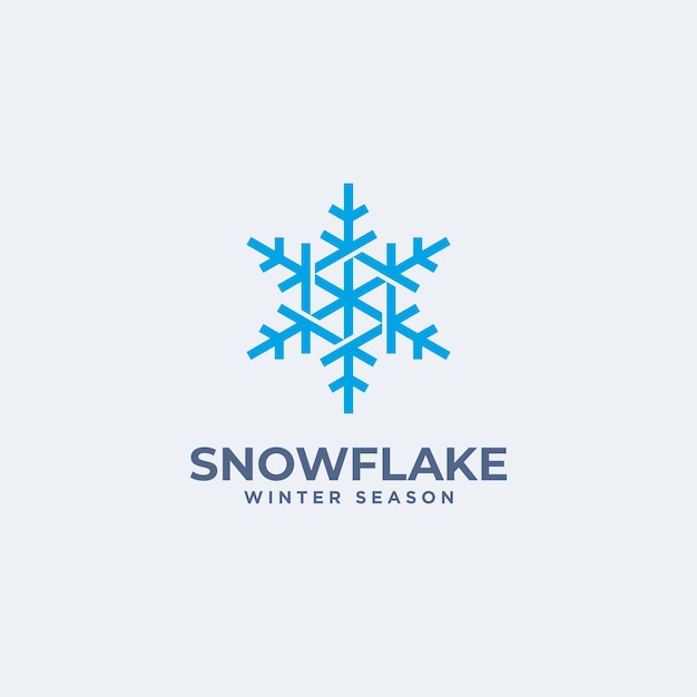 Abstract geometric Snowflake crystal logo vector icon illustration Isolated object on background