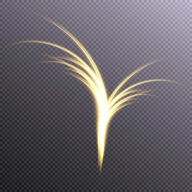 Abstract golden curved lines effect for logos and presentations.Vector