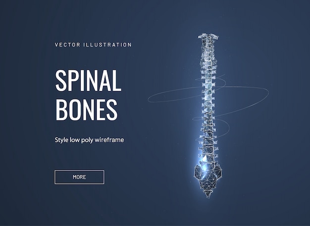 abstract illustration of the spine