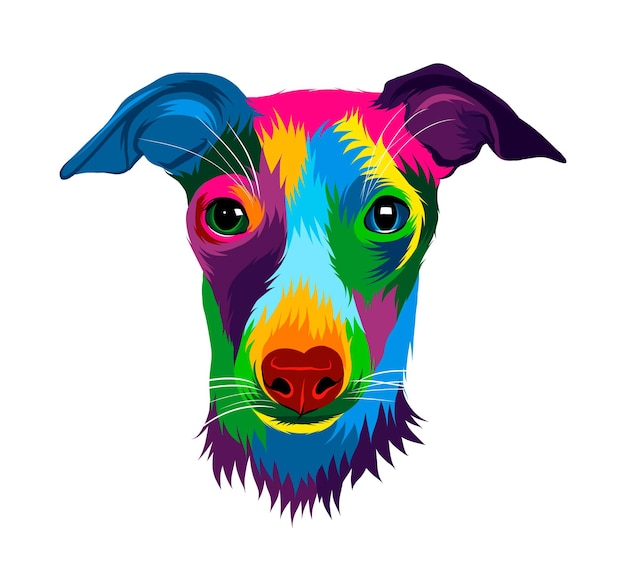 Abstract Jack Russell Terrier head portrait from multicolored paints Puppy muzzle portrait