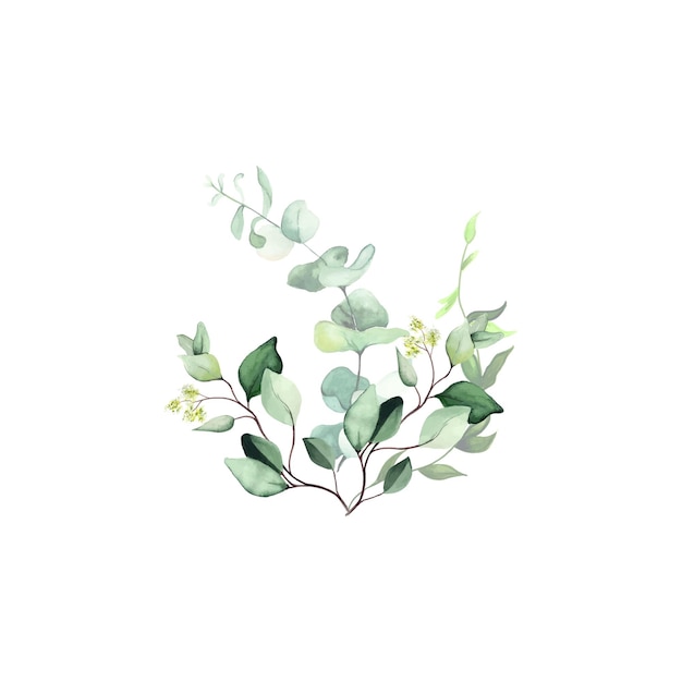 Abstract Leaves Bouquet Green Watercolor Background Illustration High Resolution Free Photo