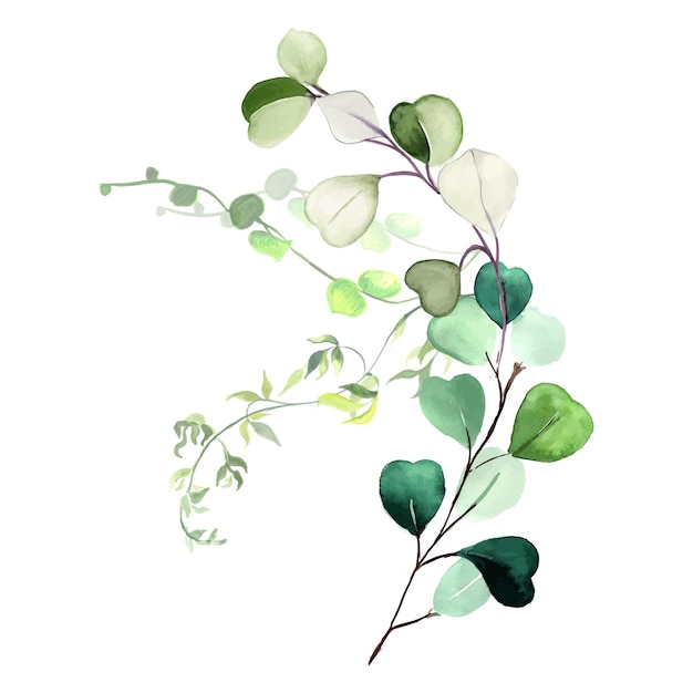 Abstract Leaves Bouquet Green White Watercolor Background Illustration High Resolution Free Photo