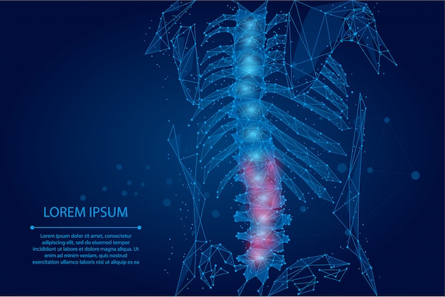 Abstract mesh line and dot physiotherapy human spine. Polygonal render female back hernia