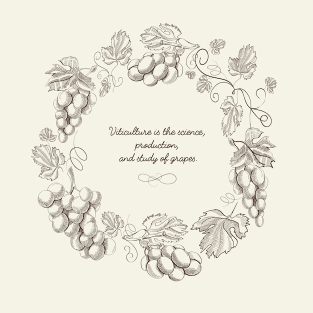 Abstract natural wreath vintage template with bunches of grapes and quote in sketch style