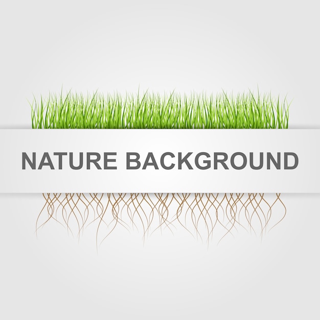 Abstract nature background.