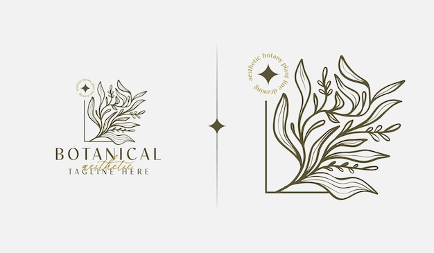 Vector abstract plant botanical flower line art line drawing universal creative premium symbol vector illustration creative minimal design template