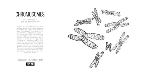 abstract polygonal silhouette of chromosomes