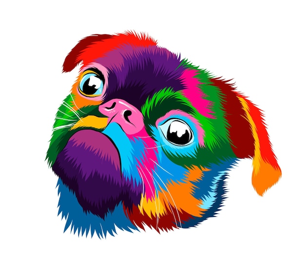 Abstract pug head portrait from multicolored paints Colored drawing Puppy muzzle portrait