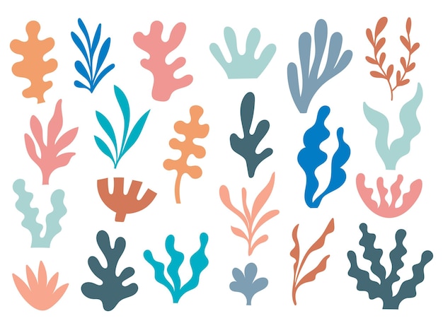 Abstract Seaweed Shape Aesthetic Element Vector Illustration