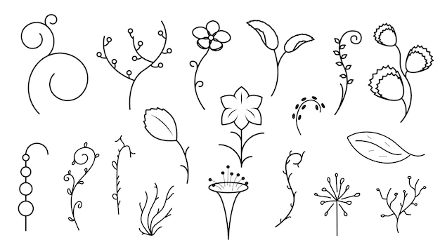 Abstract Set Doodle Elements Hand Drawn Collection Botanic Herbal Flora Leaf Branch Vine Flower Plan