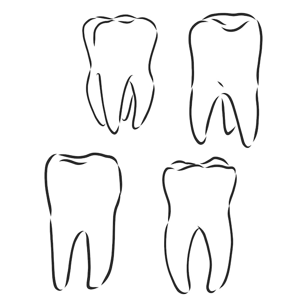 Abstract teeth set sketch vector illustration tooth vector sketch illustration