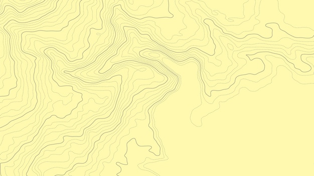 abstract topographic contour map elevation line