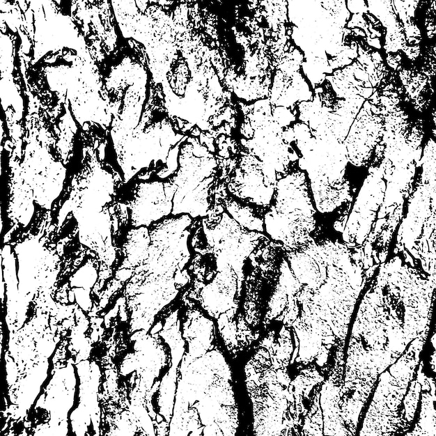 Abstract tree bark grunge texture background