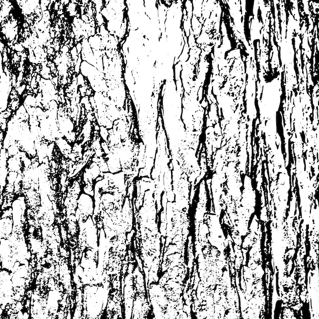 Abstract tree bark grunge texture background