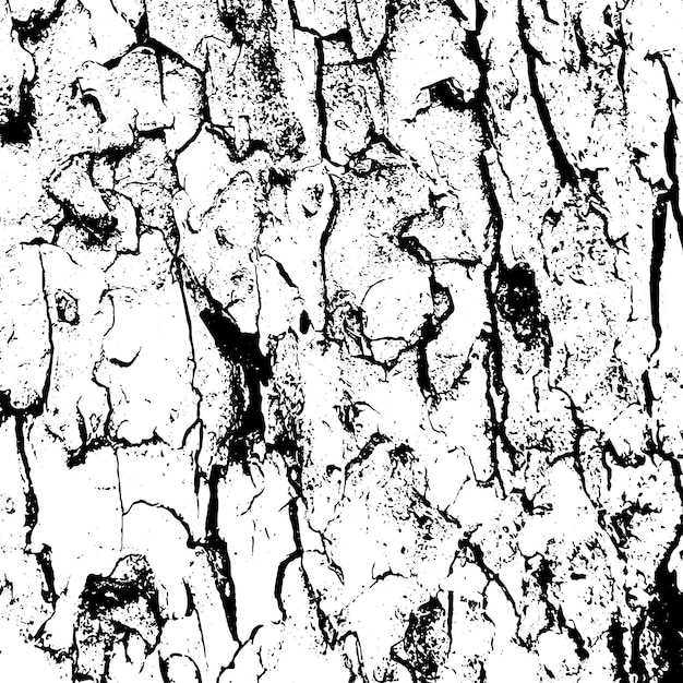 Abstract tree bark grunge texture background