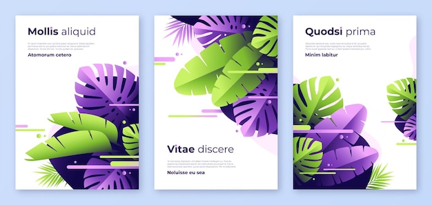 Abstract tropical vector backgrounds brochure templates cover designs colorful posters