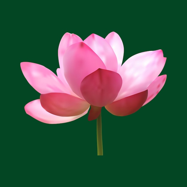 Abstract Vector Beautiful Pink Lotus Flower