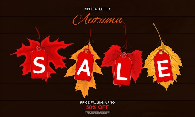 Abstract Vector Illustration Autumn Sale Background with Falling Autumn Leaves. EPS10