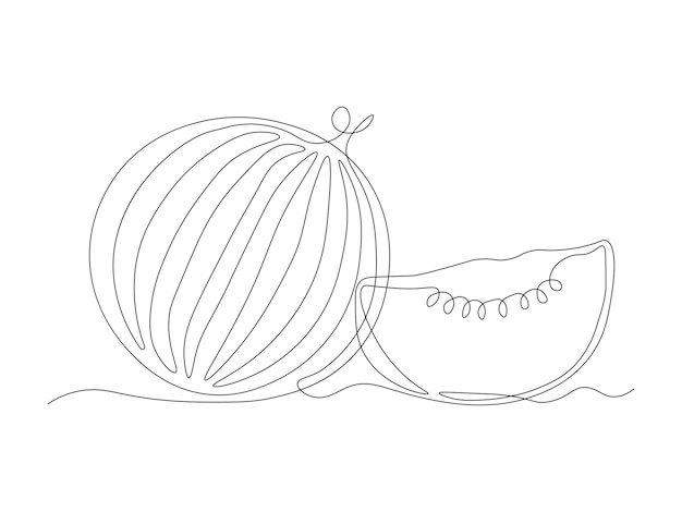 Vector abstract watermelon logocontinuous single line art hand drawing sketch