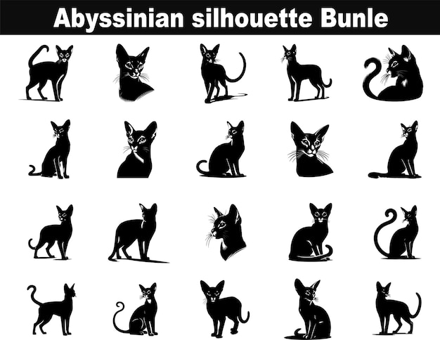 Abyssinian silhouetteillustration design bundle