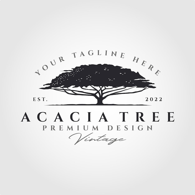 Vector acacia tree silhouette vector logo symbol illustration design vintage tree logo design