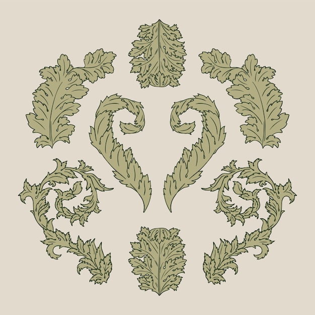 Vector acanthus leaves