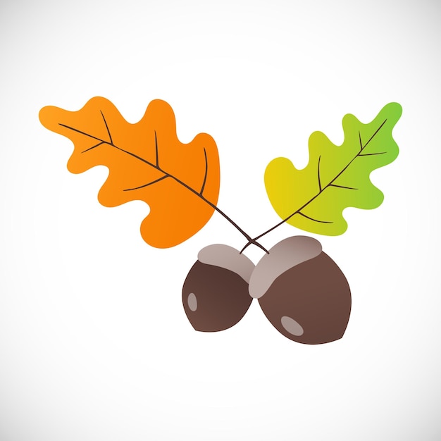 Acorn flat design style icon with gradient effect autumn oak leaves and nuts