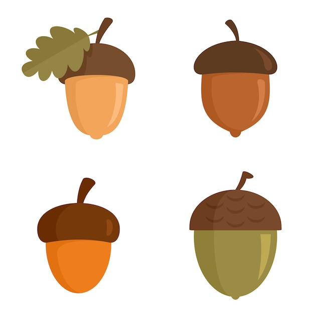 Acorn icons set