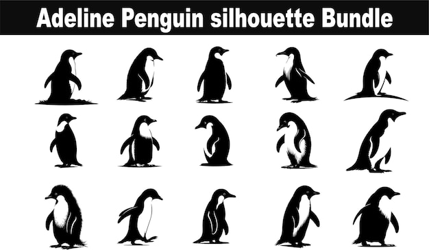 Adeline Penguin Silhouette Vector Illustration White Background