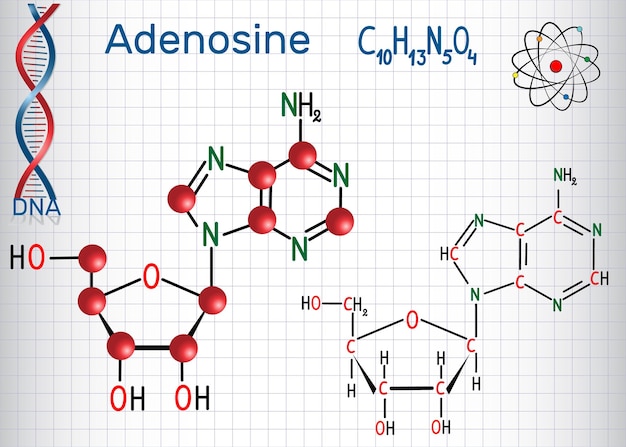 Vector adenosine purine nucleoside molecule is important part of atp adp camp rna dna sheet of paper in a cage