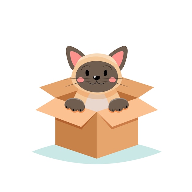 Adopt a pet - cute cat in a box,  on white background