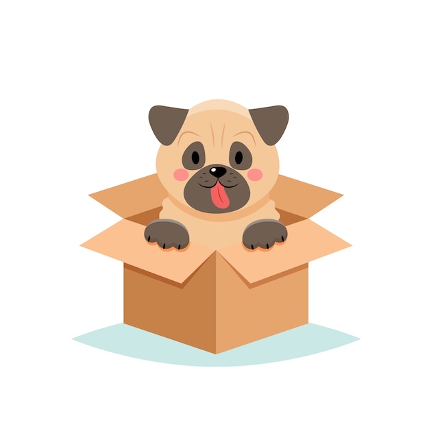 Adopt a pet - cute dog in a box,  on white background