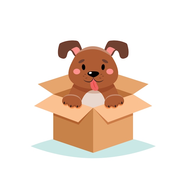 Adopt a pet - cute dog in a box,  on white background