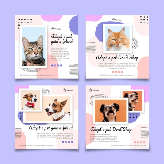 Adopt a pet instagram posts