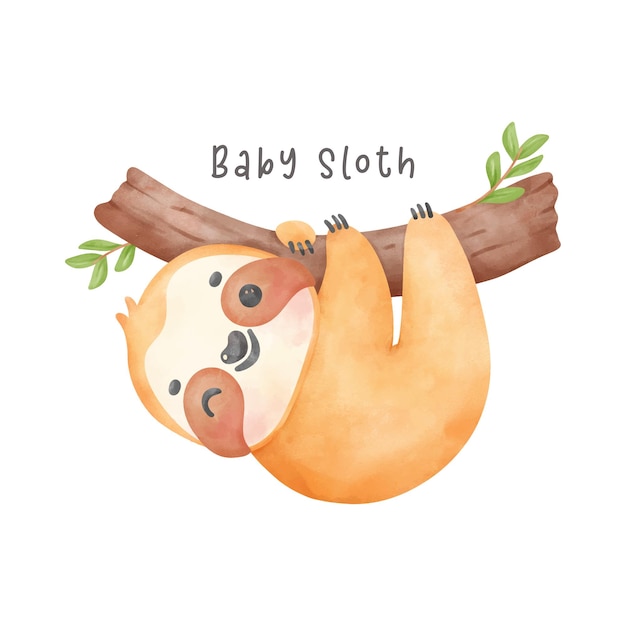 Adorable baby sloth hanging on tree cartoon watercolor nursery Illustration