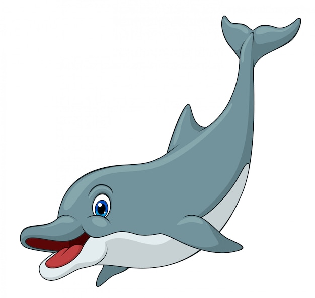 Adorable Dolphin Cartoon