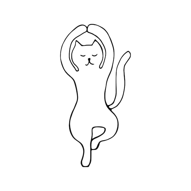 Adorable hand drawn cat sitting in yoga pose Isolated on white background drawing for textile prints child poster cute stationery