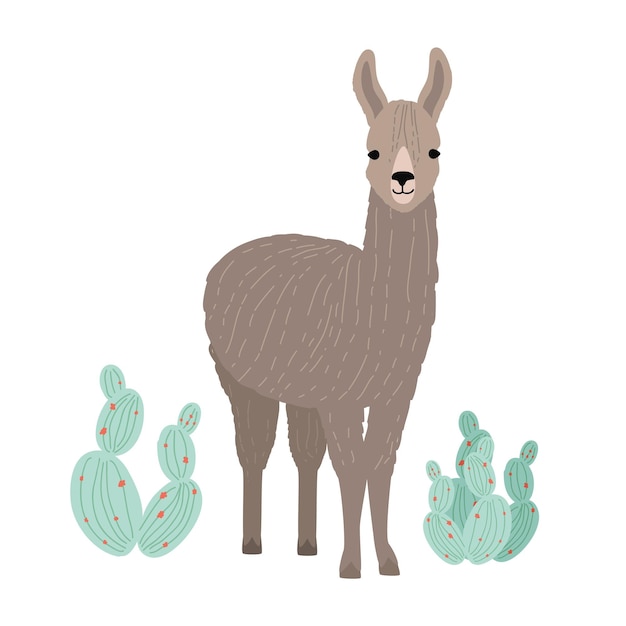 Adorable llama or cria isolated on white background. Portrait of wild South American animal standing beside cactuses. Andean domestic livestock. Colorful vector illustration in flat cartoon style.