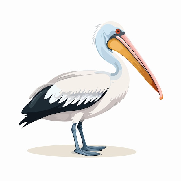 Adorable Pelican with Large Beak in Tropical Water