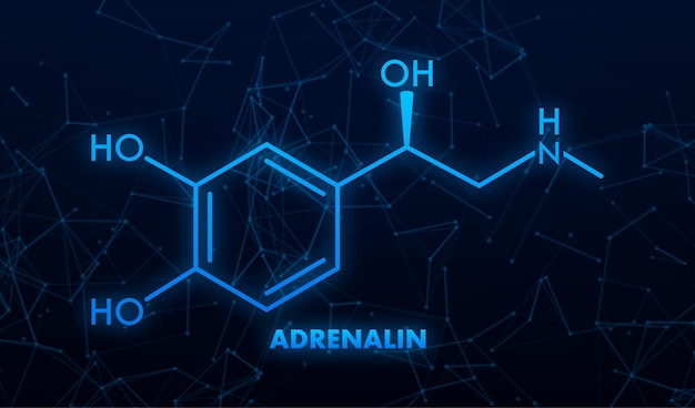 Adrenaline or adrenalin epinephrine neurotransmitter molecule Skeletal formulaVector illustration