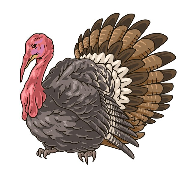 Vector adult turkey colorful set stickers