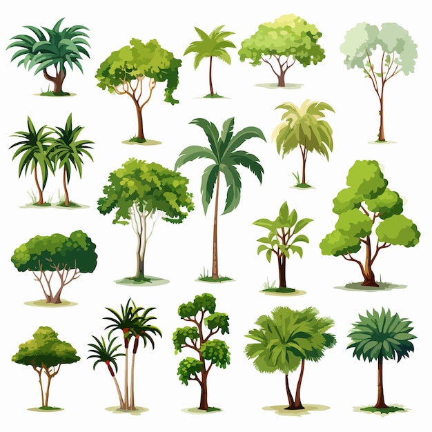 Aerial View of Lush Tropical Trees on White Background