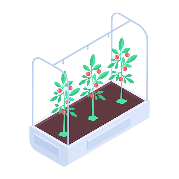 Vector aeroponic bed icon in isometric style