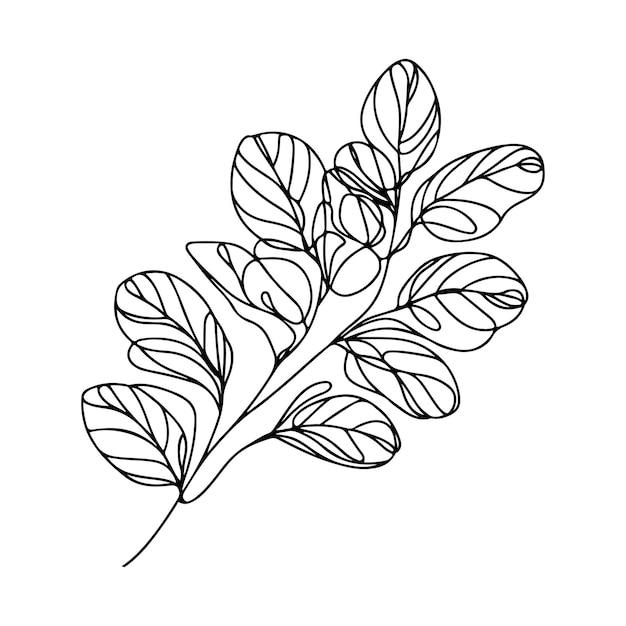 aesthetic decorative line art illustration of leaf floral